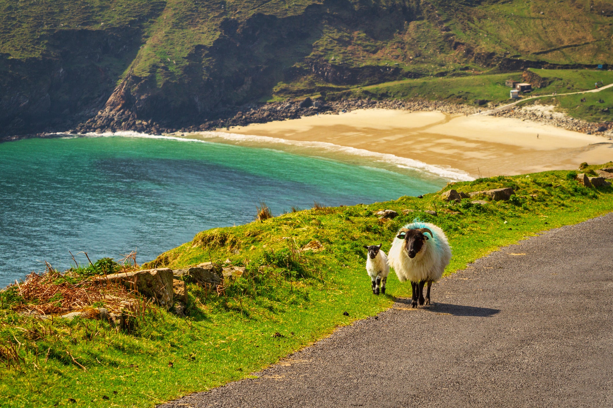 You may not encounter many people in the countryside, but you’re bound to cross paths with sheep