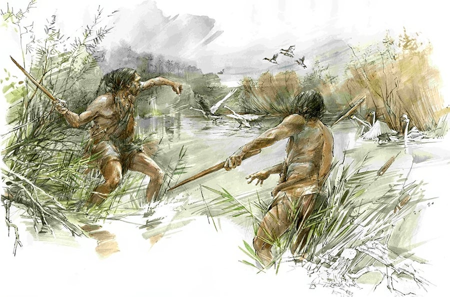 An artistic reconstruction of how the stick would have been used by early humans