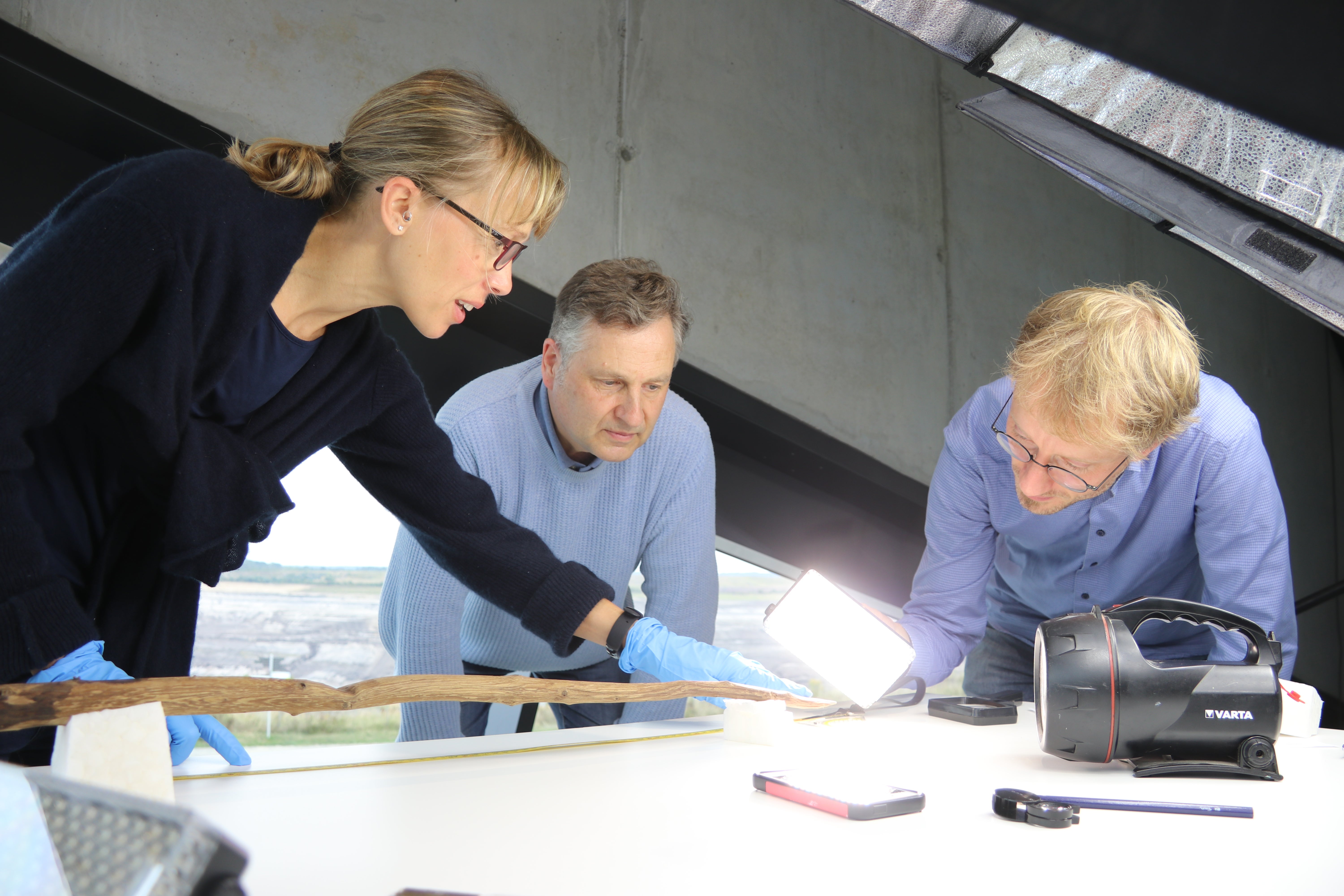 Dr Annemieke Milks and colleagues examine the stick