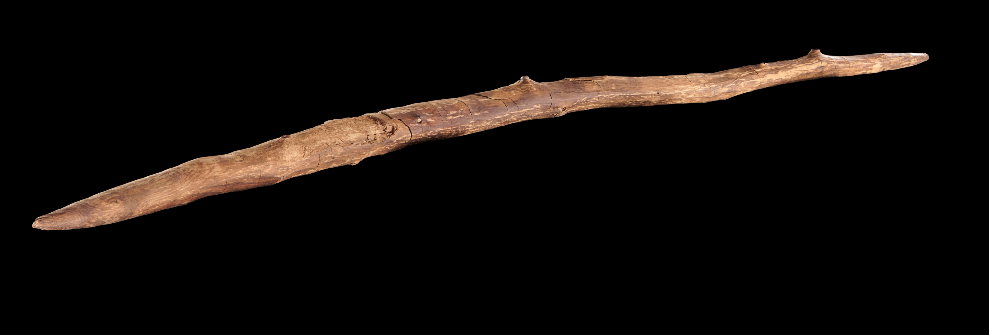 Schöningen double pointed wooden stick