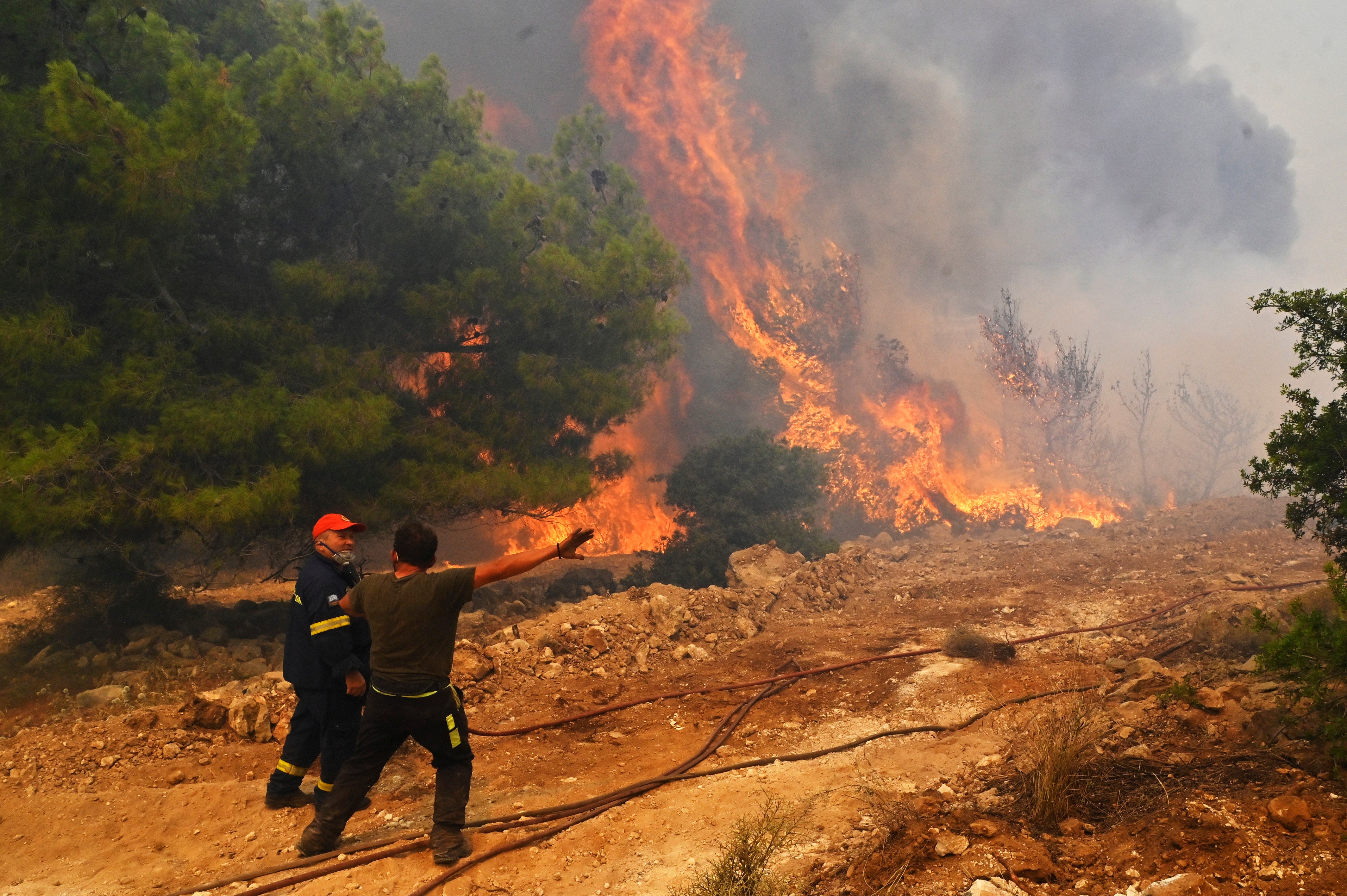 Locals help firefighters as they try to extinguish a wildfire burning near the village Vlyhada near Athens