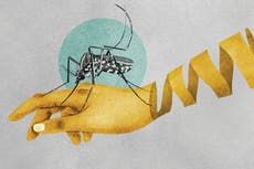 As temperatures rise, mosquitoes are also on the move. Scientists worry that could mean more malaria