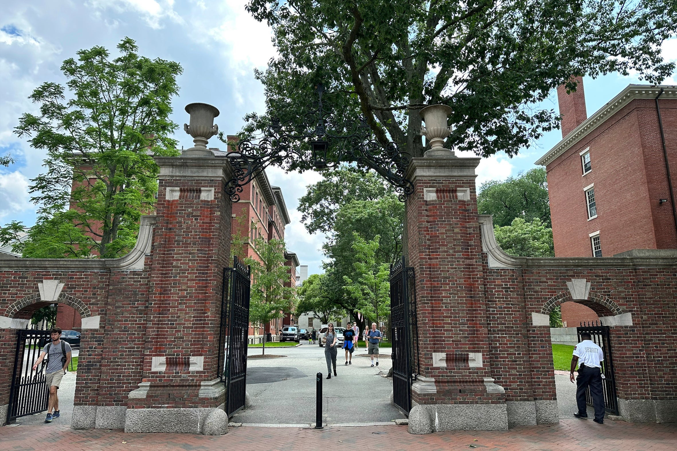 Harvard University