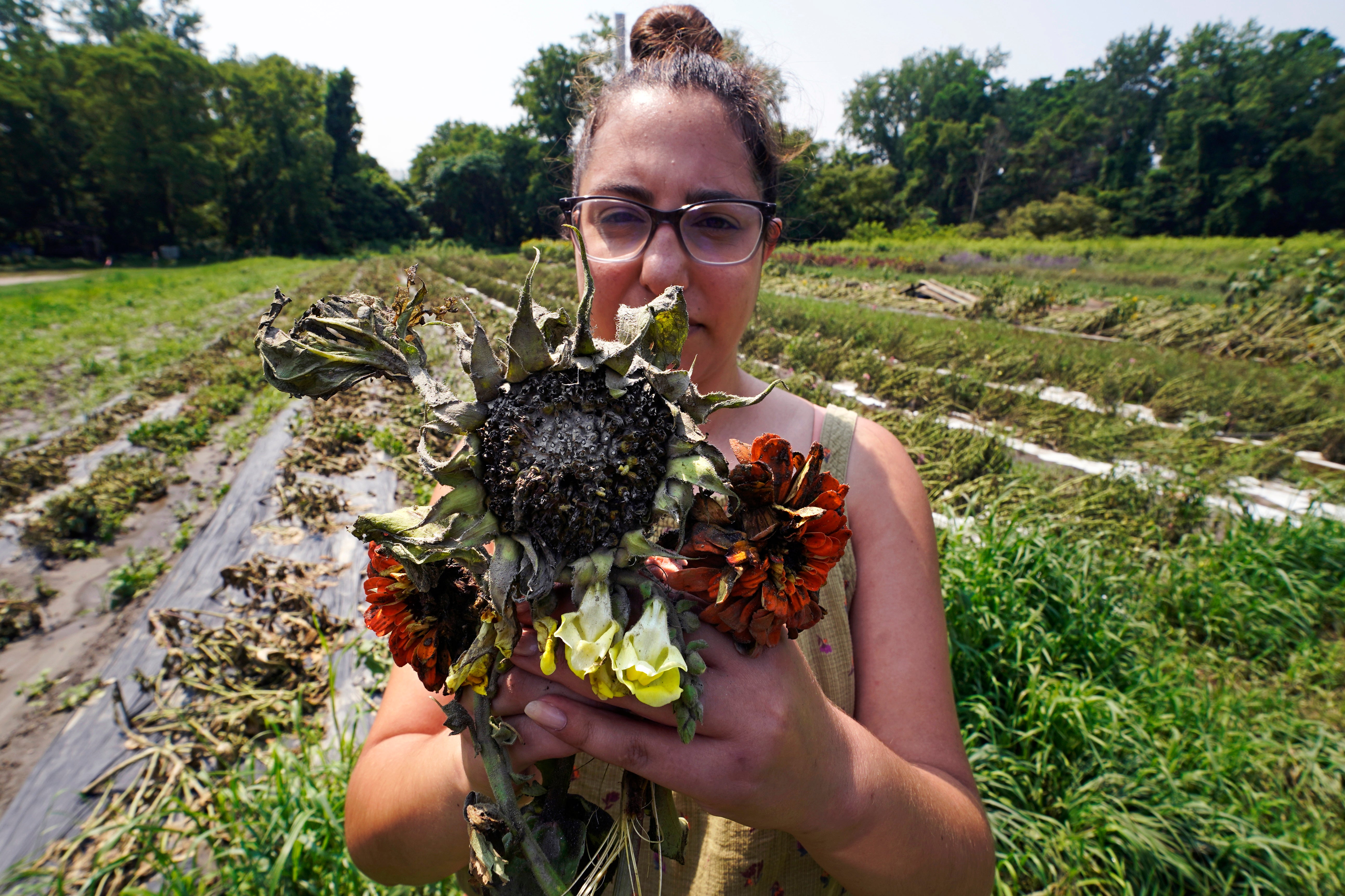 Northeast Floods-Farmers