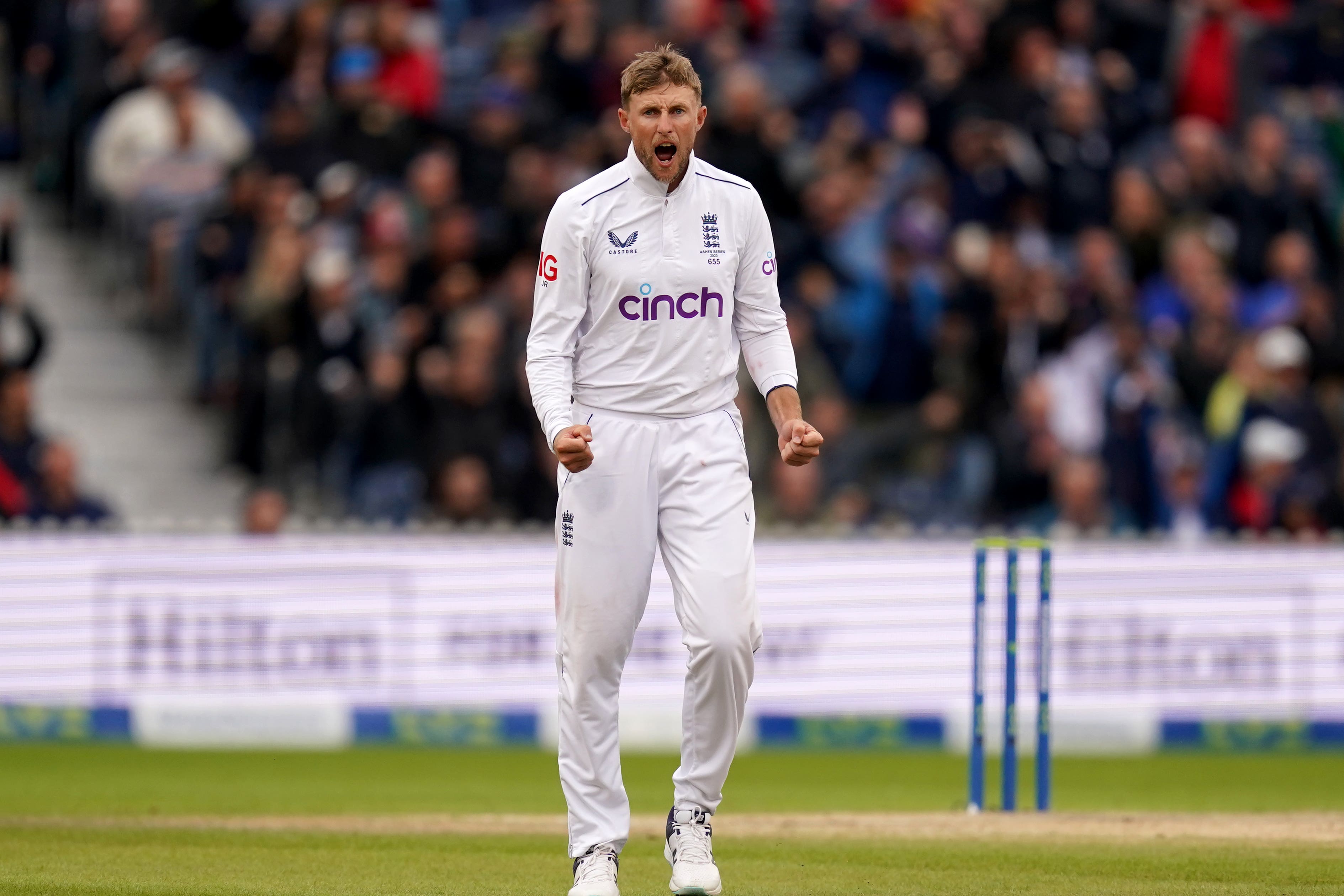 Joe Root celebrates the wicket of Marnus Labuschagne (Martin Rickett/PA).