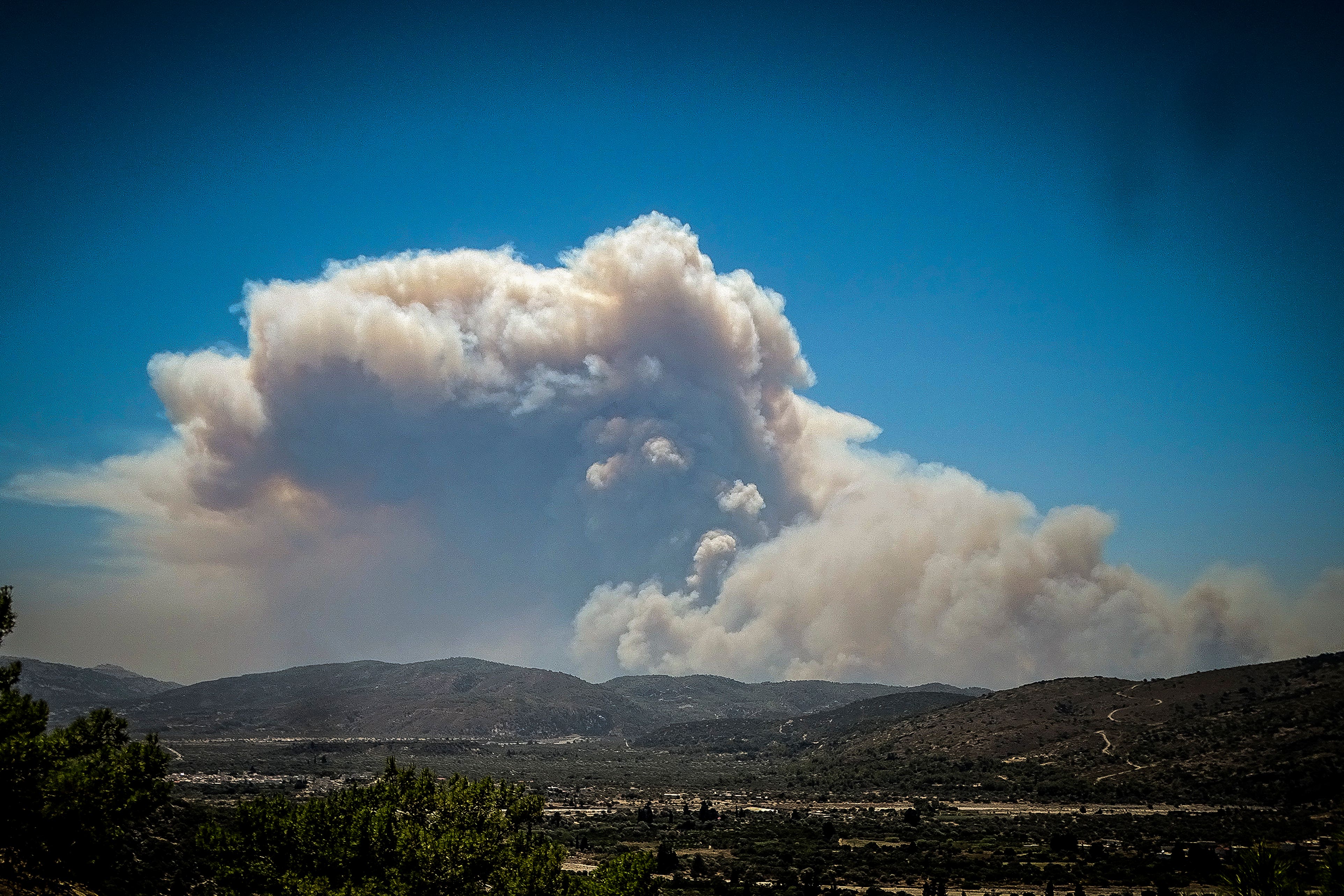 Thomas Cook said 40 of its customers were in areas most affected by the fire (Argyris Mantikos/AP)