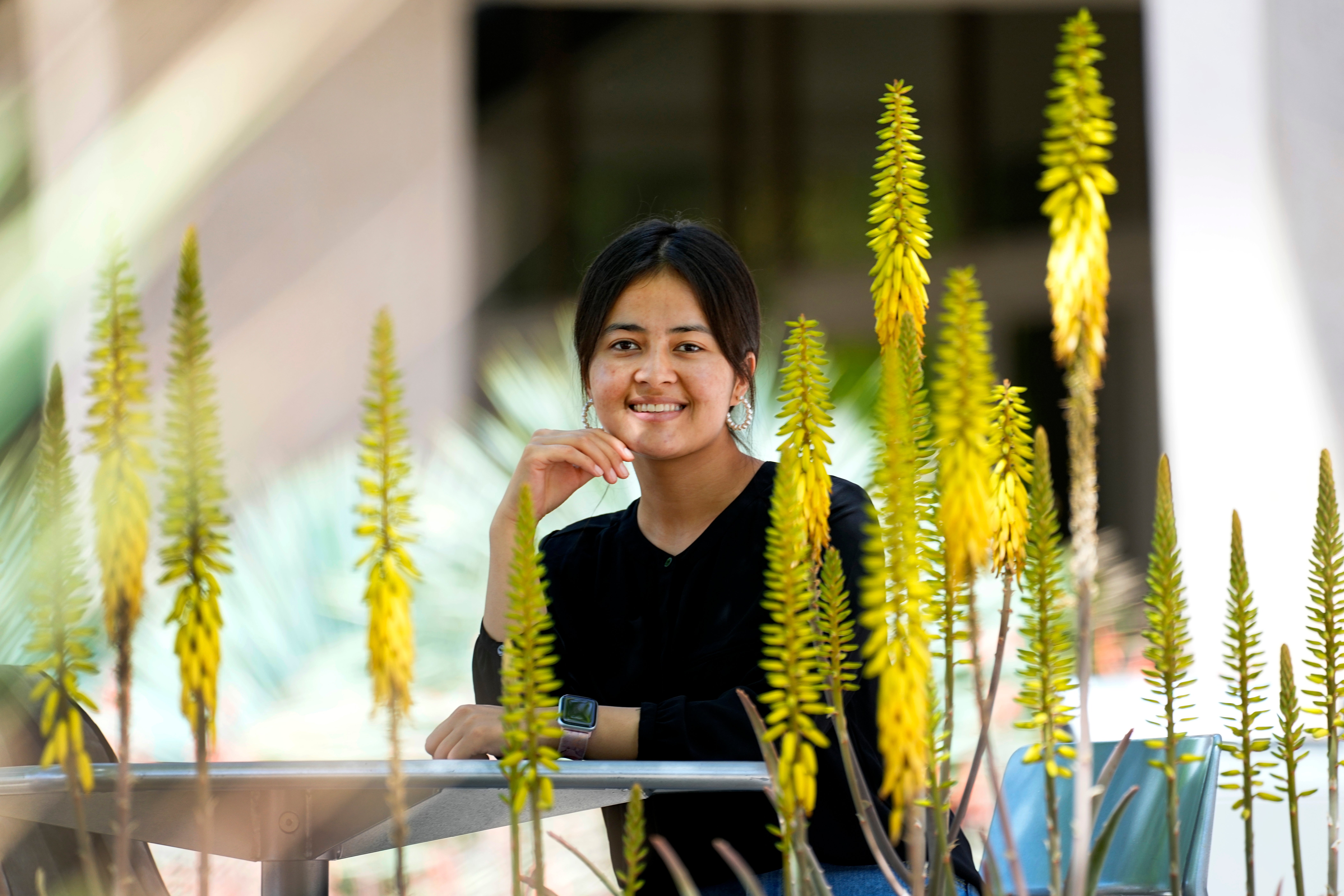 Afghan University Students Scholarships