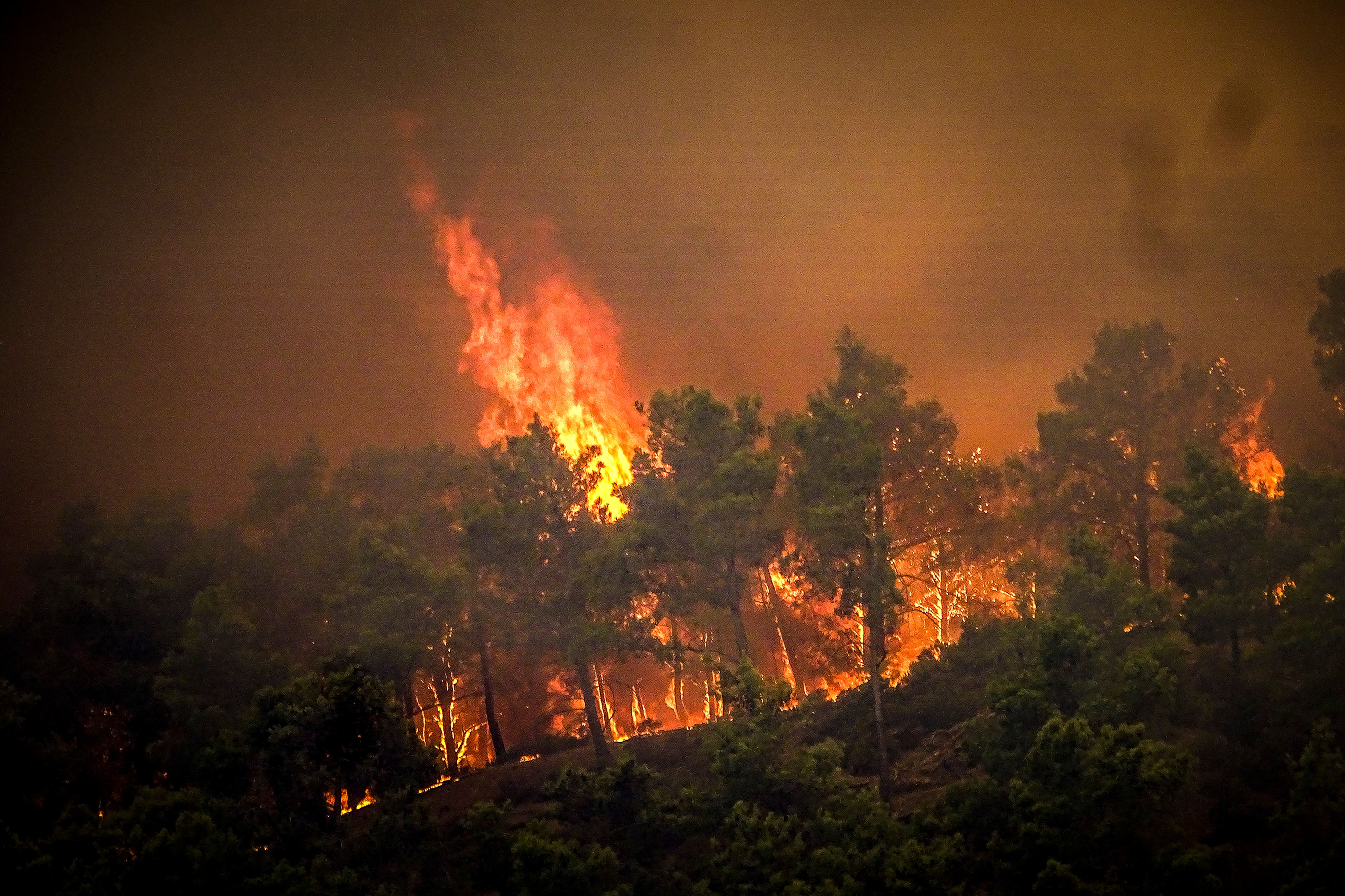 Holidaymakers were evacuated from their hotels and left their belongings behind