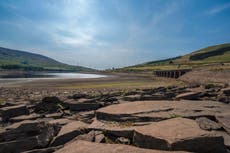 Experts say 40C heat becoming increasingly likely in UK