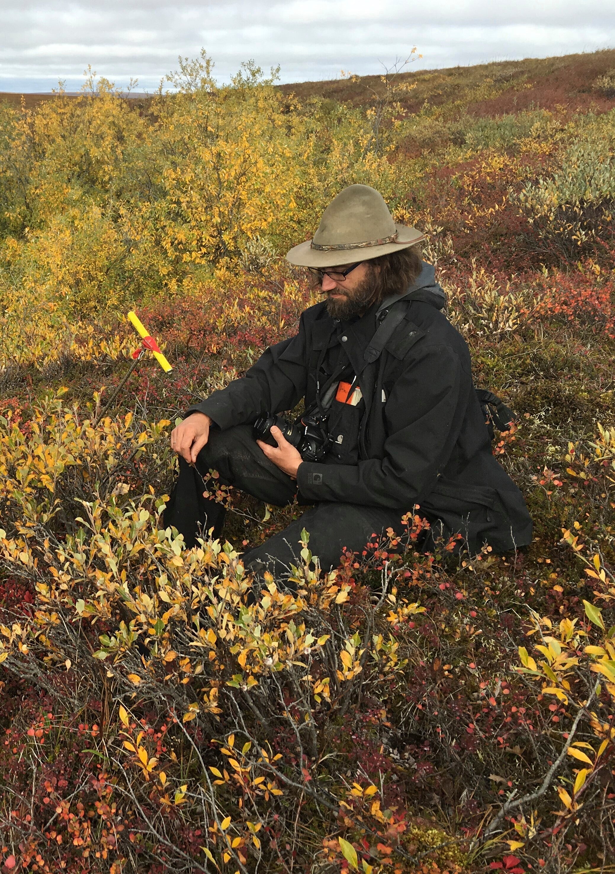 Fatal Helicopter Crash Alaska
