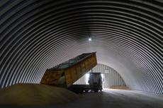 EU agriculture ministers meet to discuss vital Ukraine grain exports after Russia nixed deal