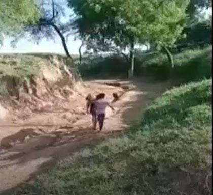 Purported video shows fishermen in Uttar Pradesh, India, carrying a river dolphin