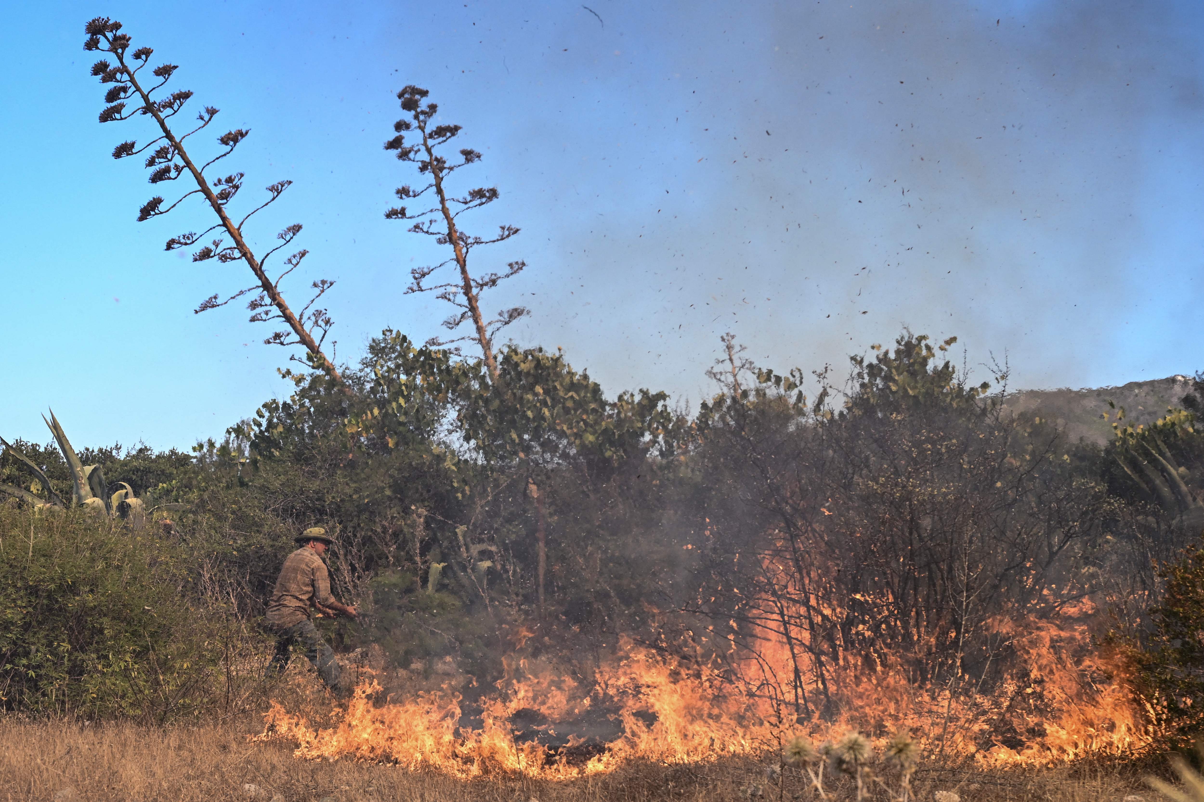 A local man uses a tree branch to beat down the flames of a wildfire near the village of Vati, just north of the coastal town of Gennadi, in the southern part of the Greek island of Rhodes