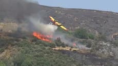 Plane fighting Greece wildfires crashes in Evia leaving two people dead