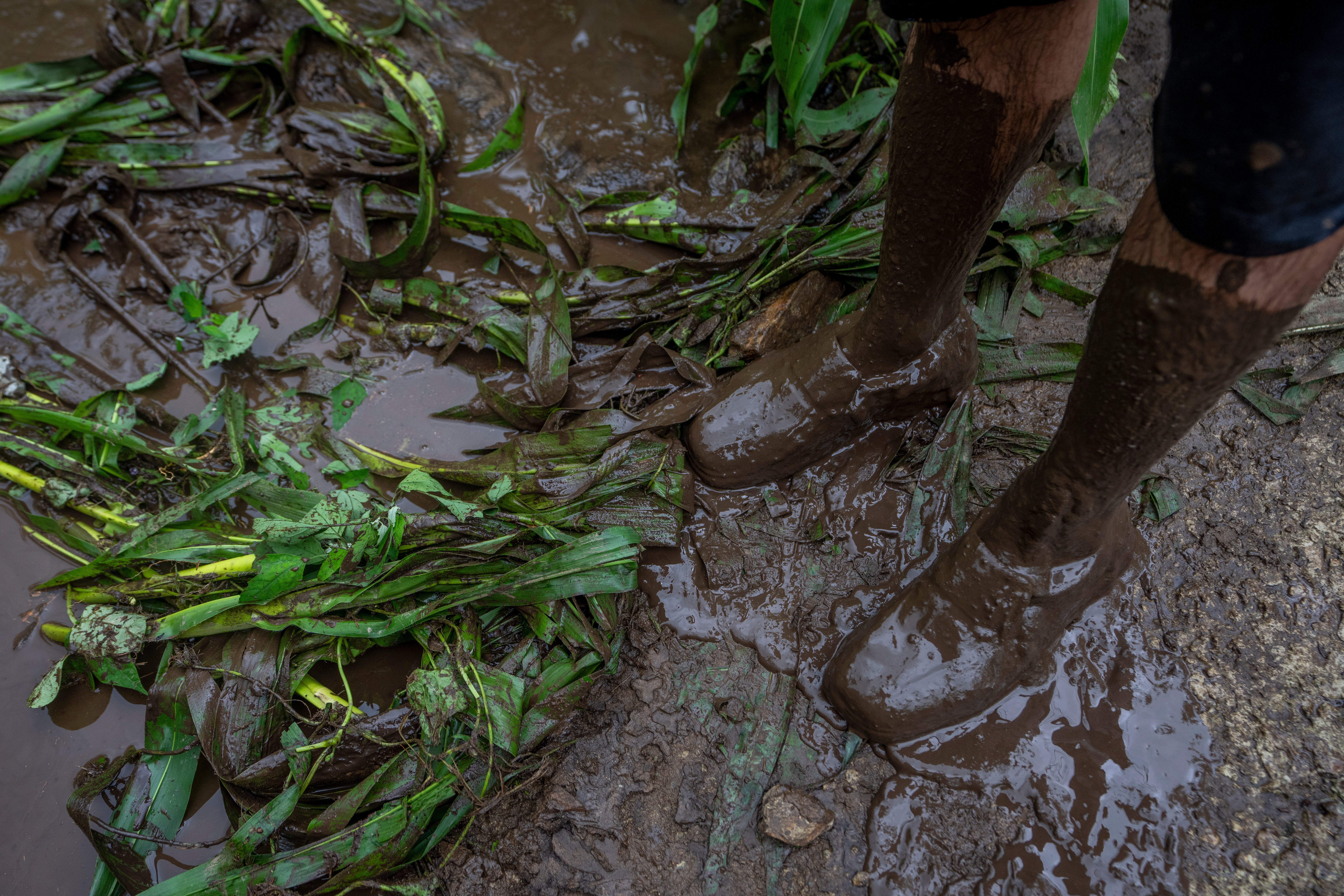 Climate India Cloudbursts Explainer