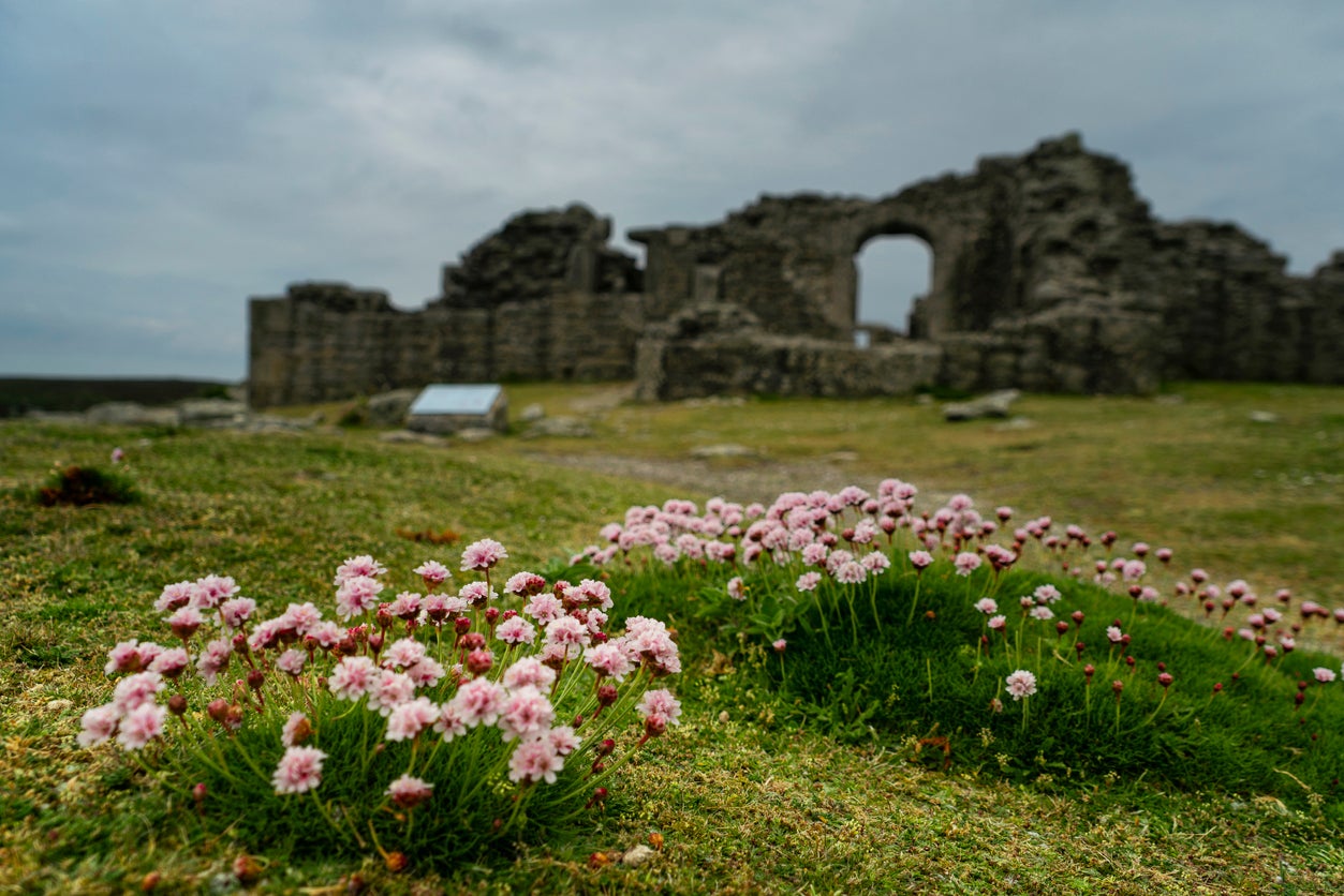 Flowers in bloom in front of King Charles’ Castle