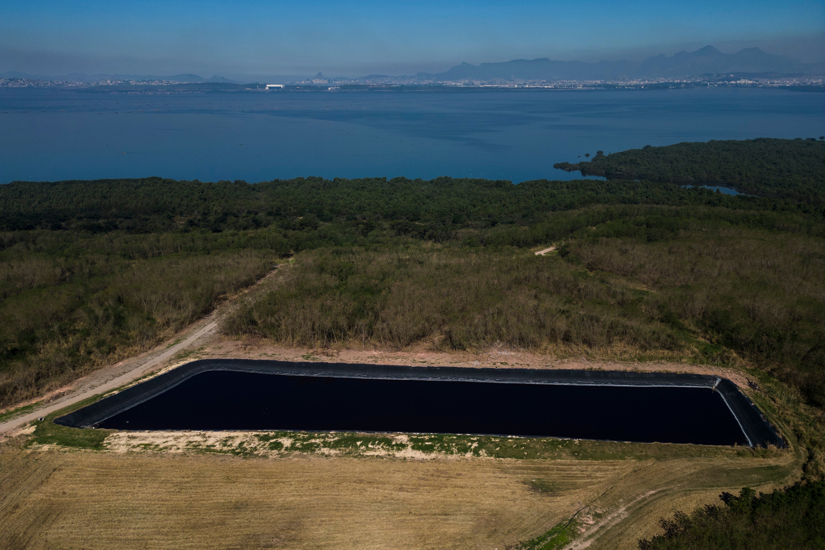 Brazil Mangrove Planting Project