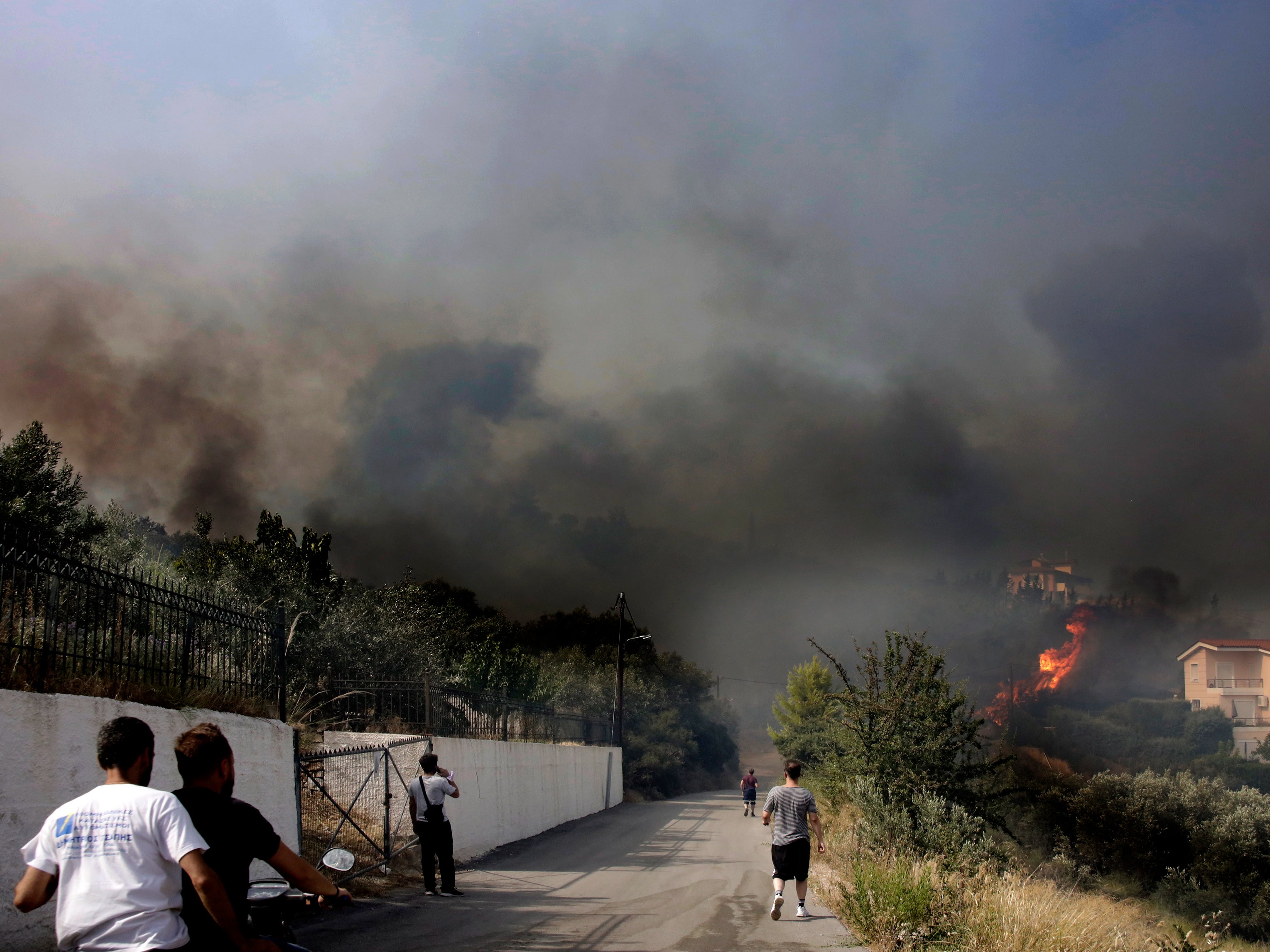 Wildfires on the outskirts of the city of Lamia, central Greece