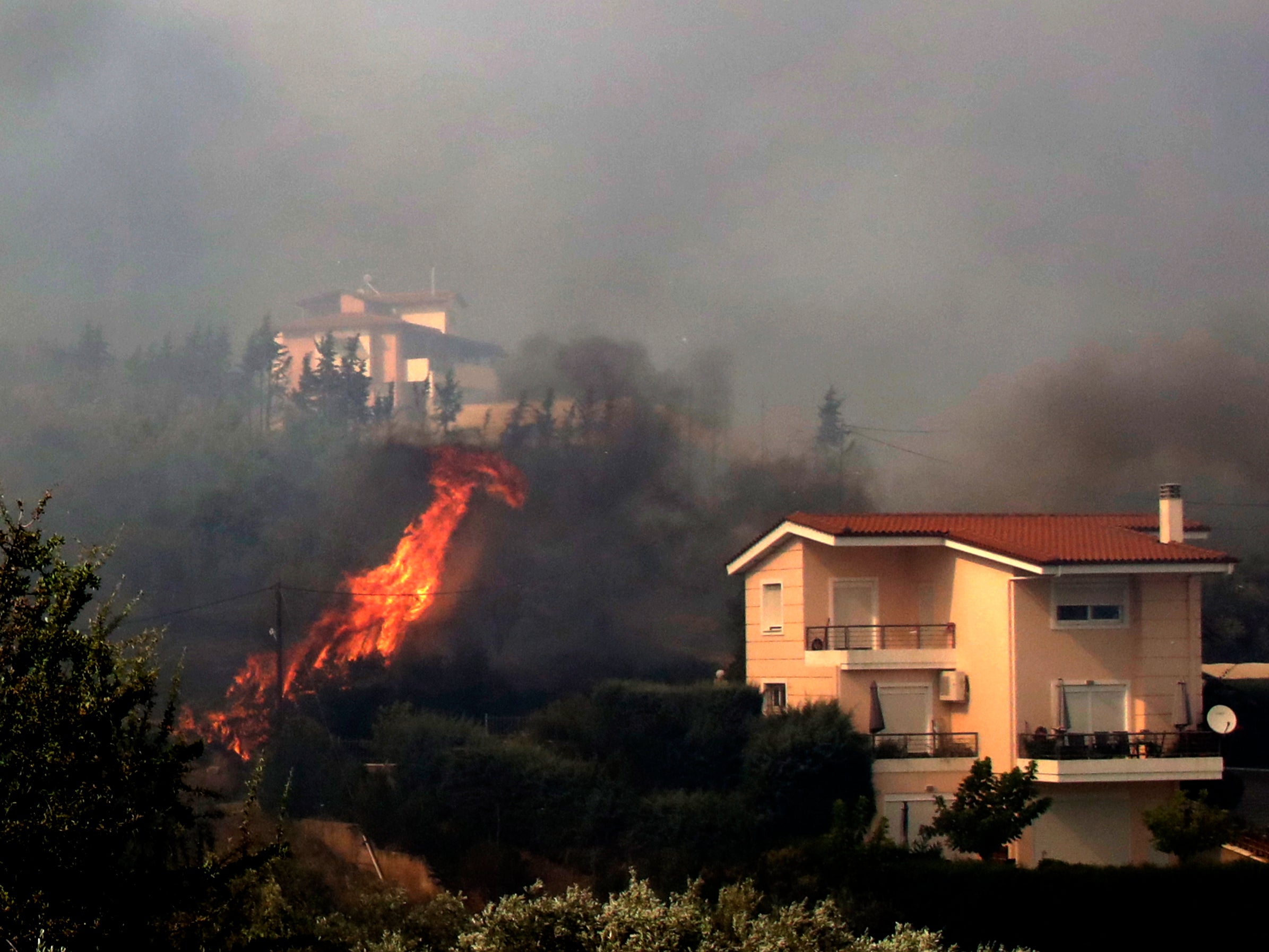 Flames encroach a residential area in Lamia