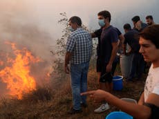 Greece fires – live: New wildfires erupt on mainland as several areas still at ‘extreme risk’