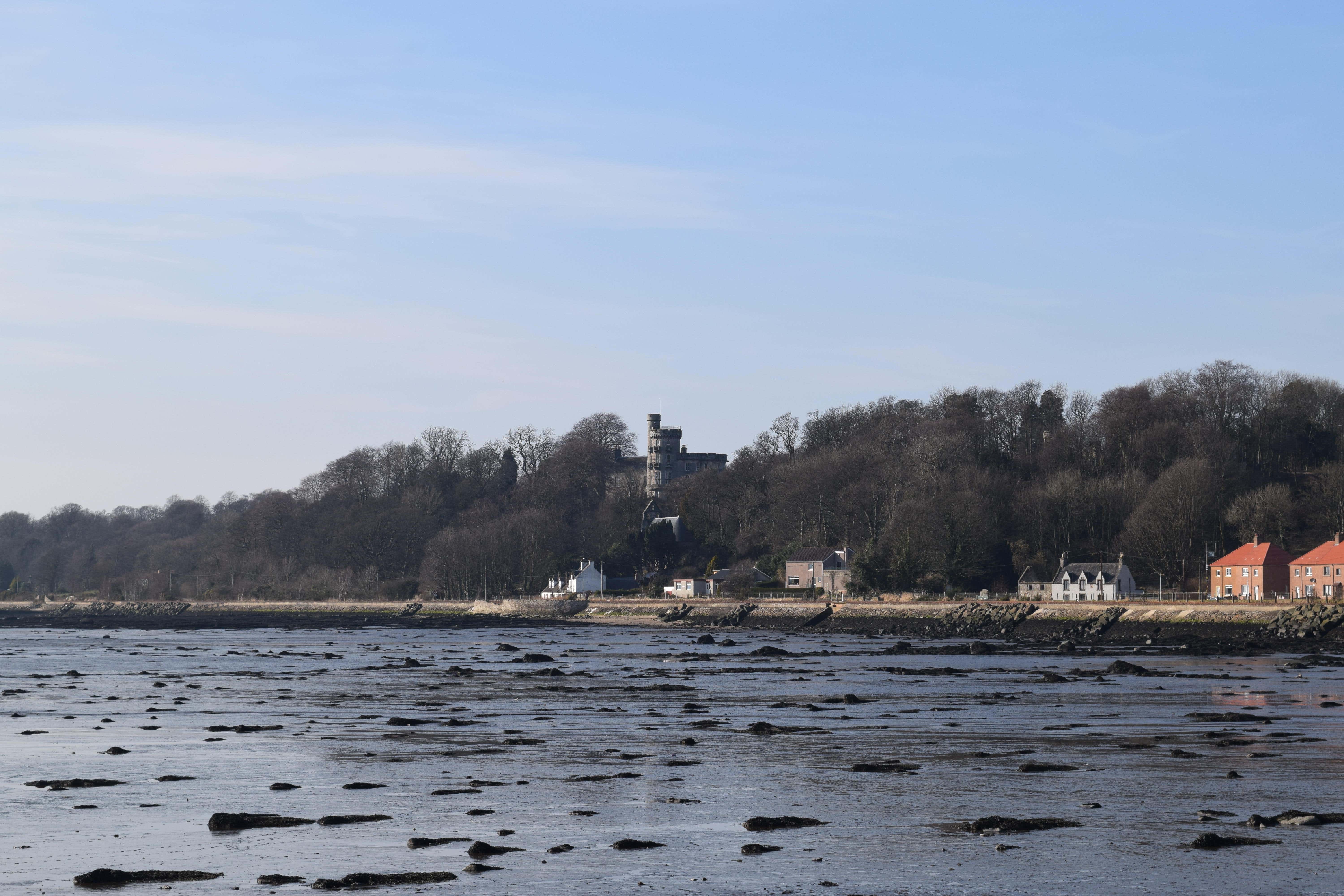 The whales beached on the shoreline in Culross, Fife, on Tuesday (Alamy/PA)