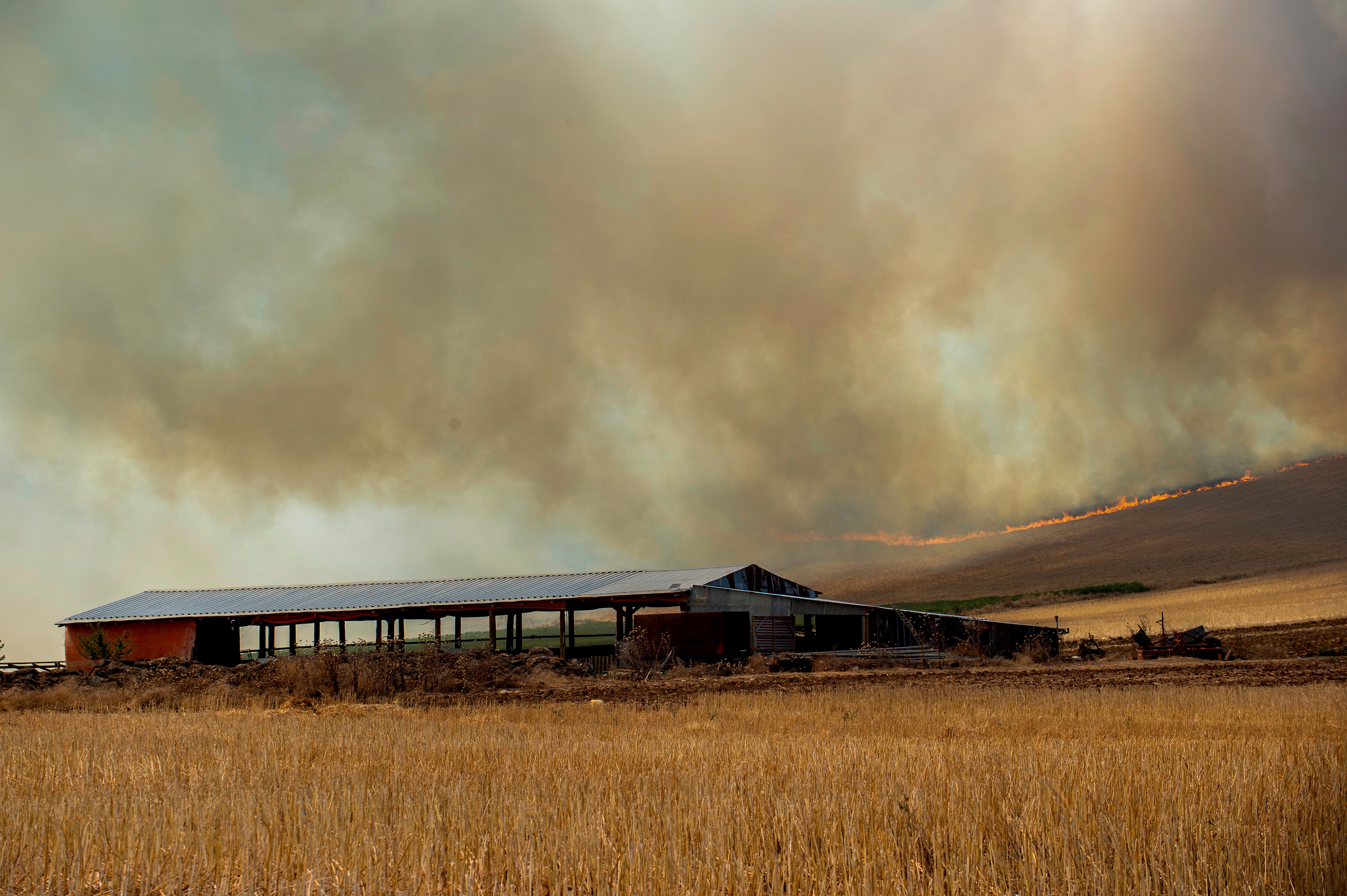 A fire burns fields, in Velestino, Magnesia prefecture, Greece