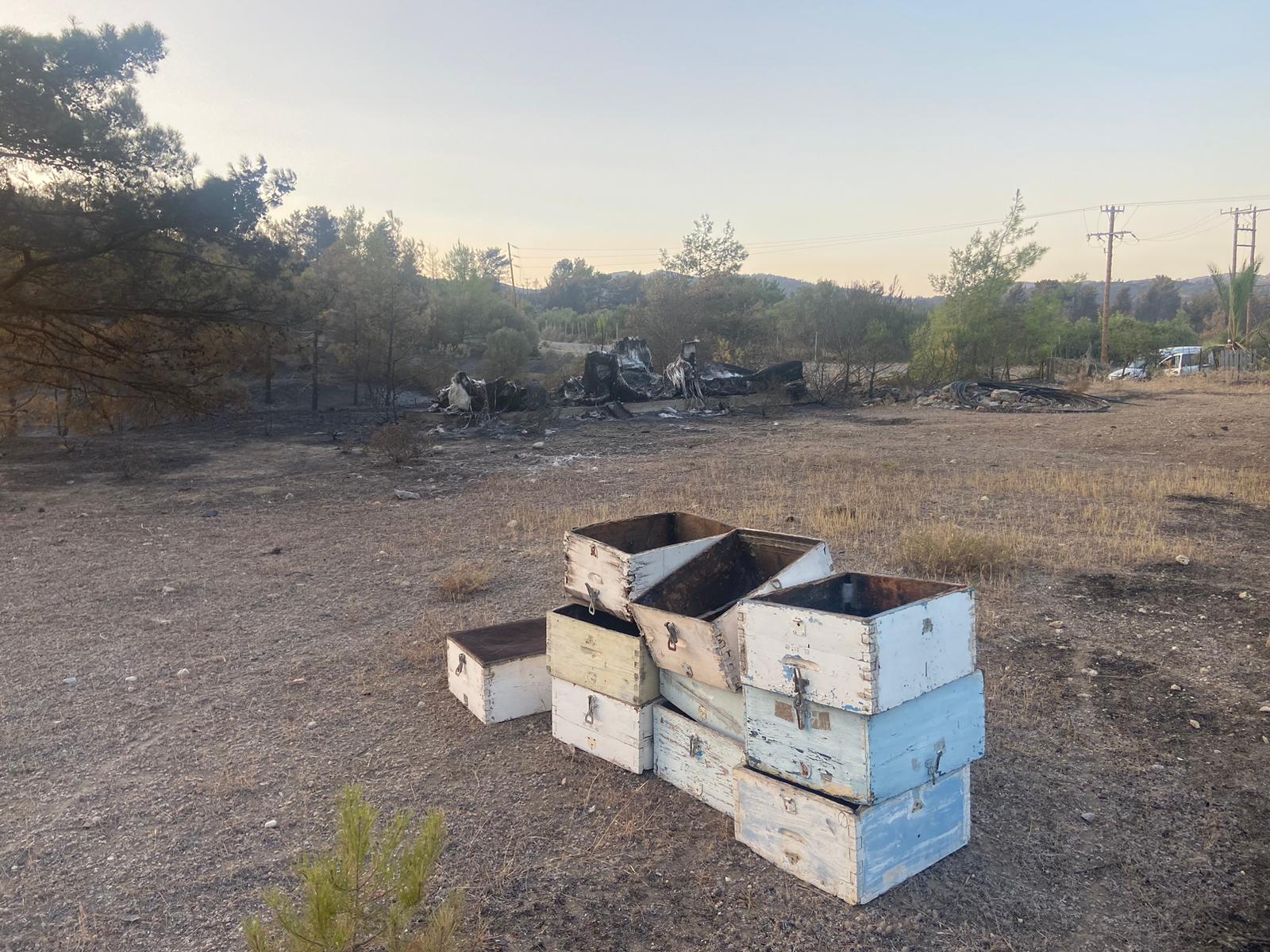 The remains of a beekeeper’s hives and storage shed near the village of Asklipio – precious herbs that are key for the bees have been lost