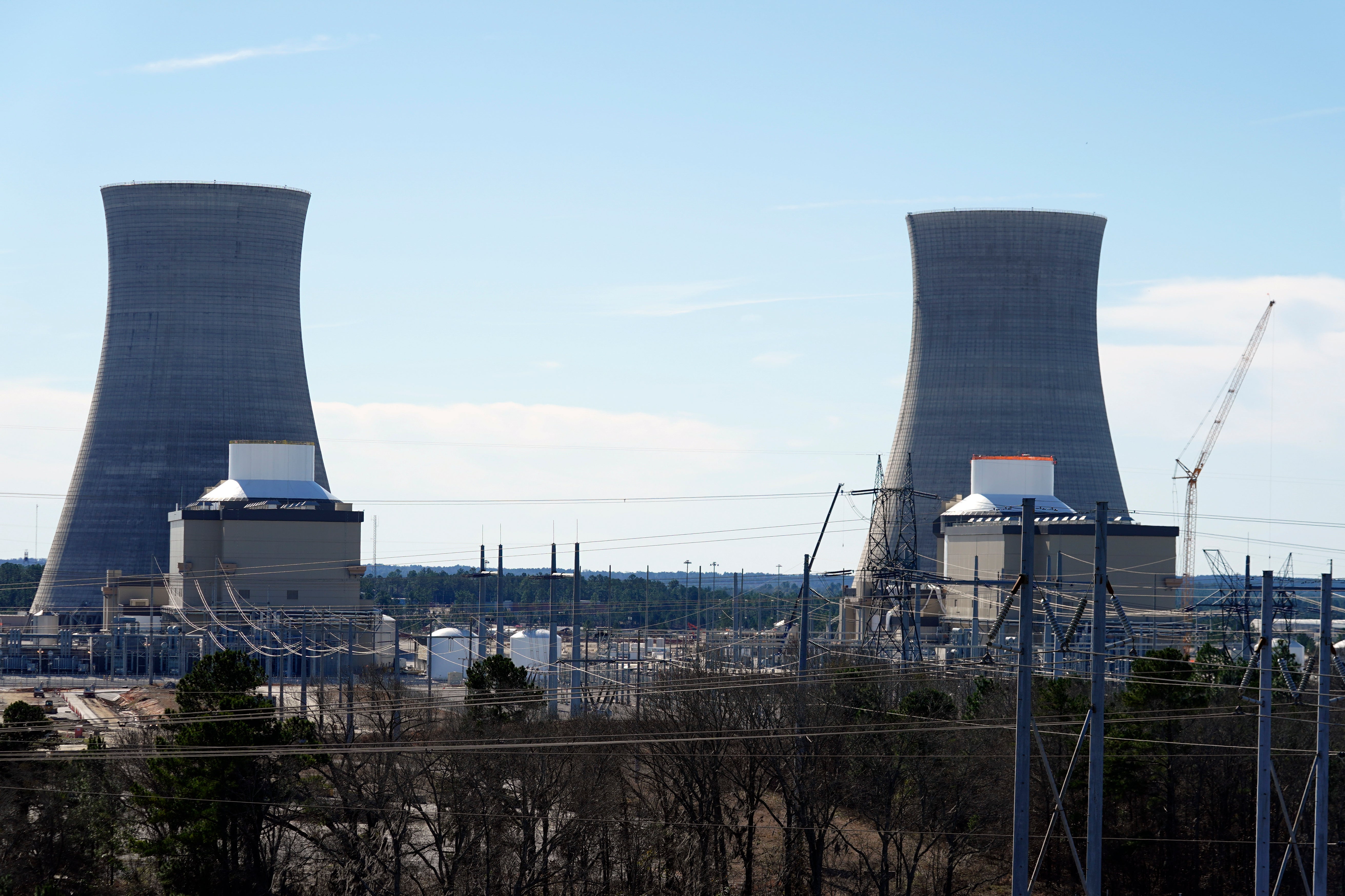 Nuclear Plant Georgia