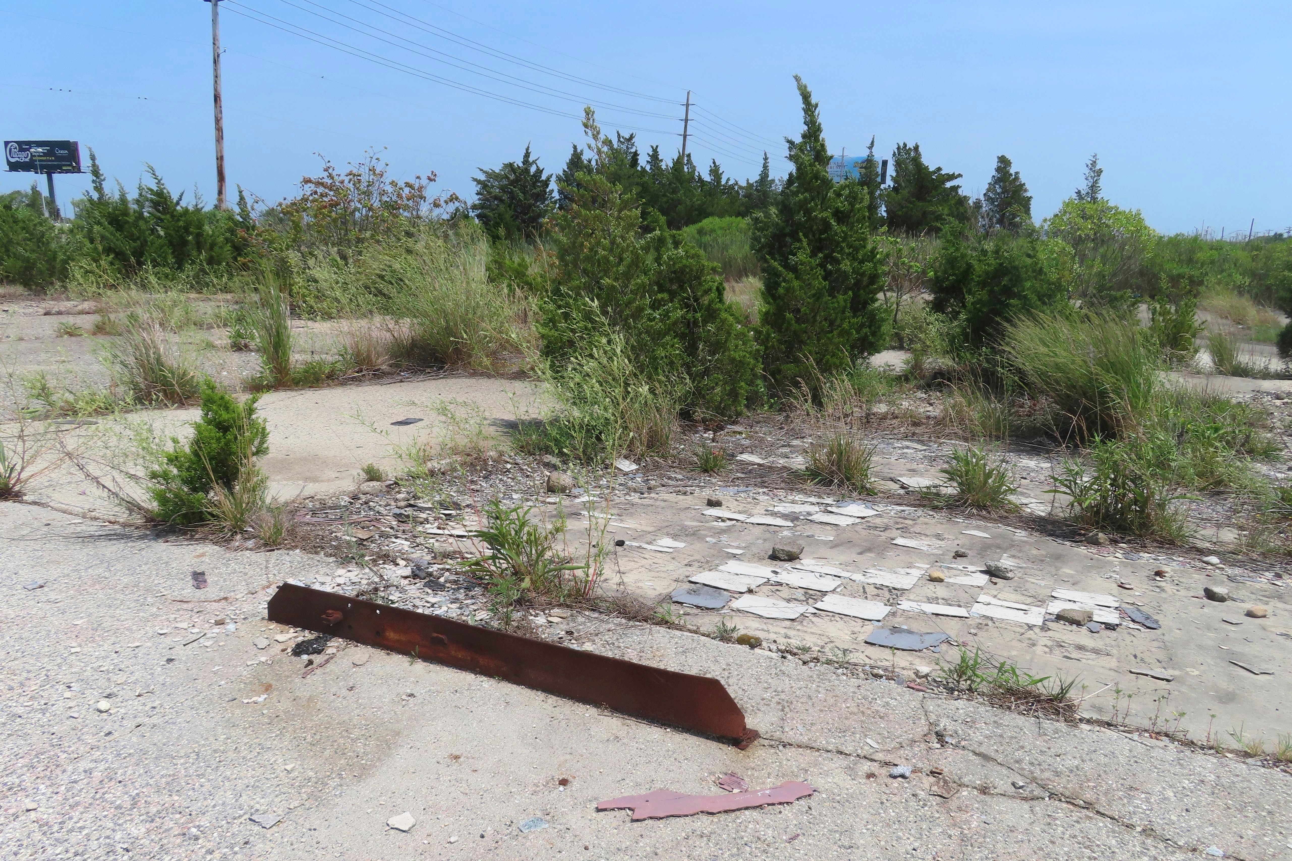 Unsolved Sex Worker Killings