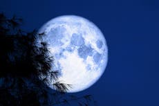 What is a Blue Moon? Rare August supermoon will be last of its kind this decade