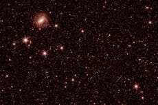 Space telescope Euclid captures glittering galaxies and stars in first images