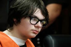 Michigan school shooter Ethan Crumbley is a ‘feral child’ who could be rehabilitated, psychologist says