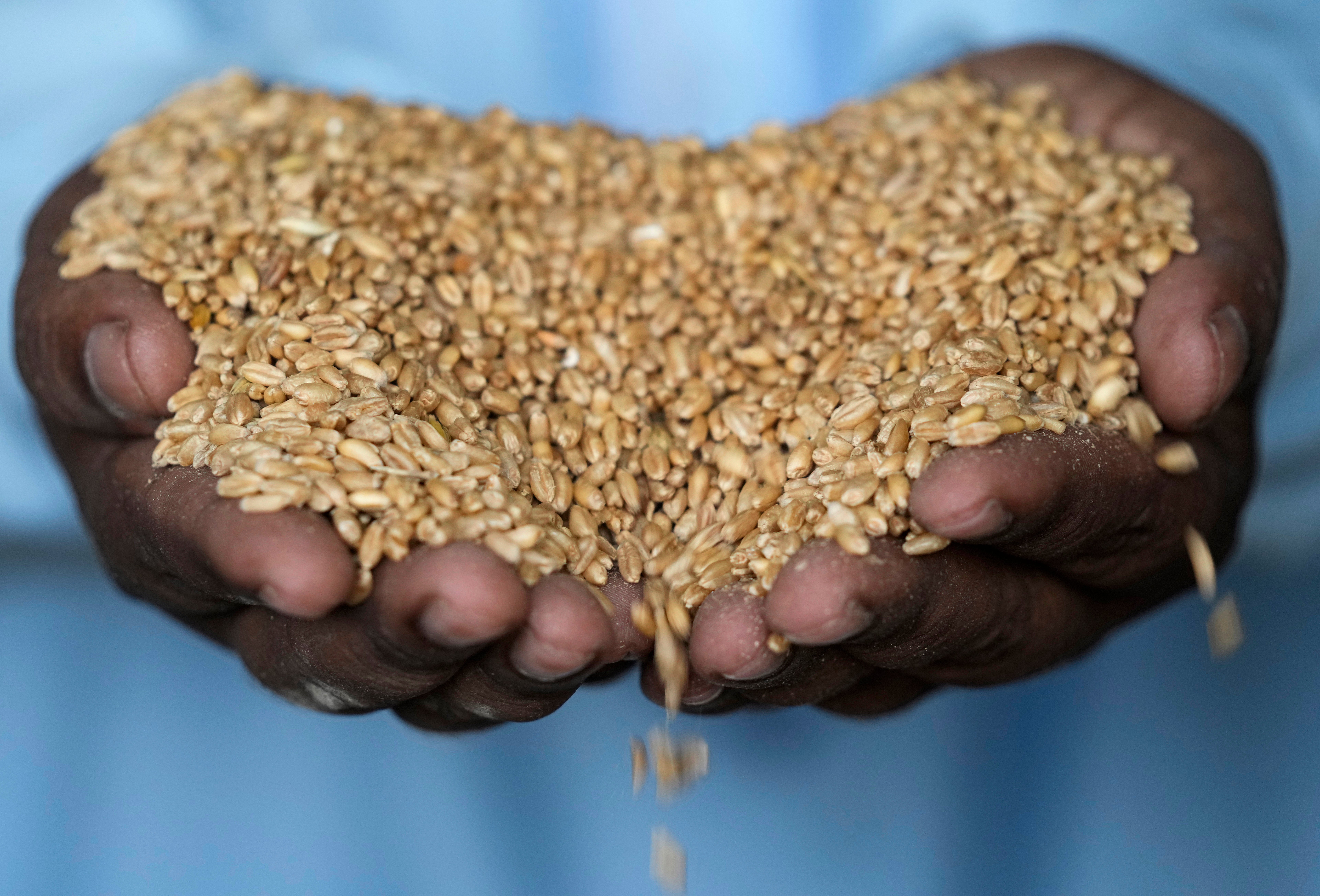 Mideast Grain Deal Collapse