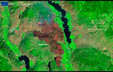 Satellite images reveal massive wildfire burning on both sides of US-Canada border as towns evacuated