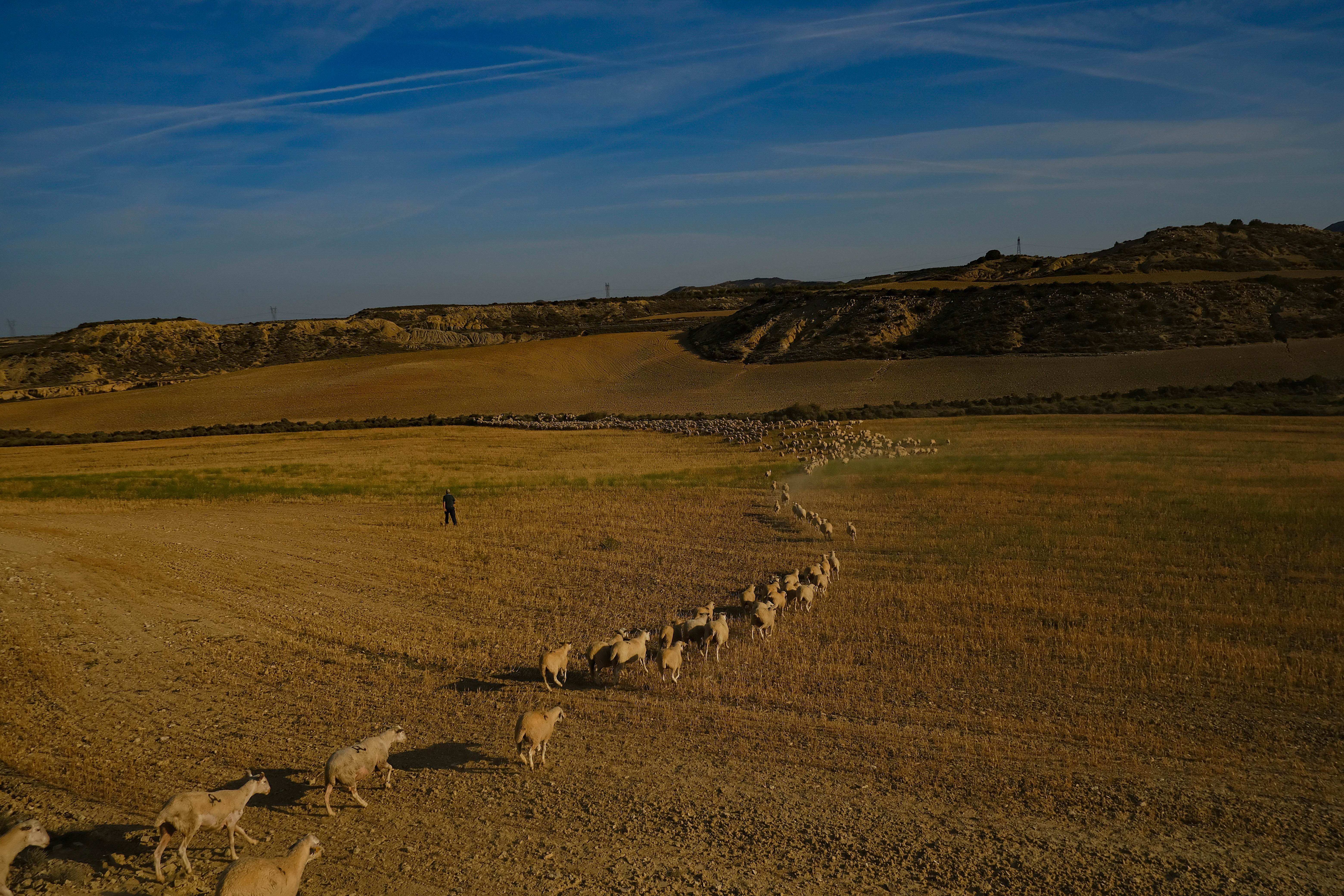 Spain Livestock Ritual Photo Gallery