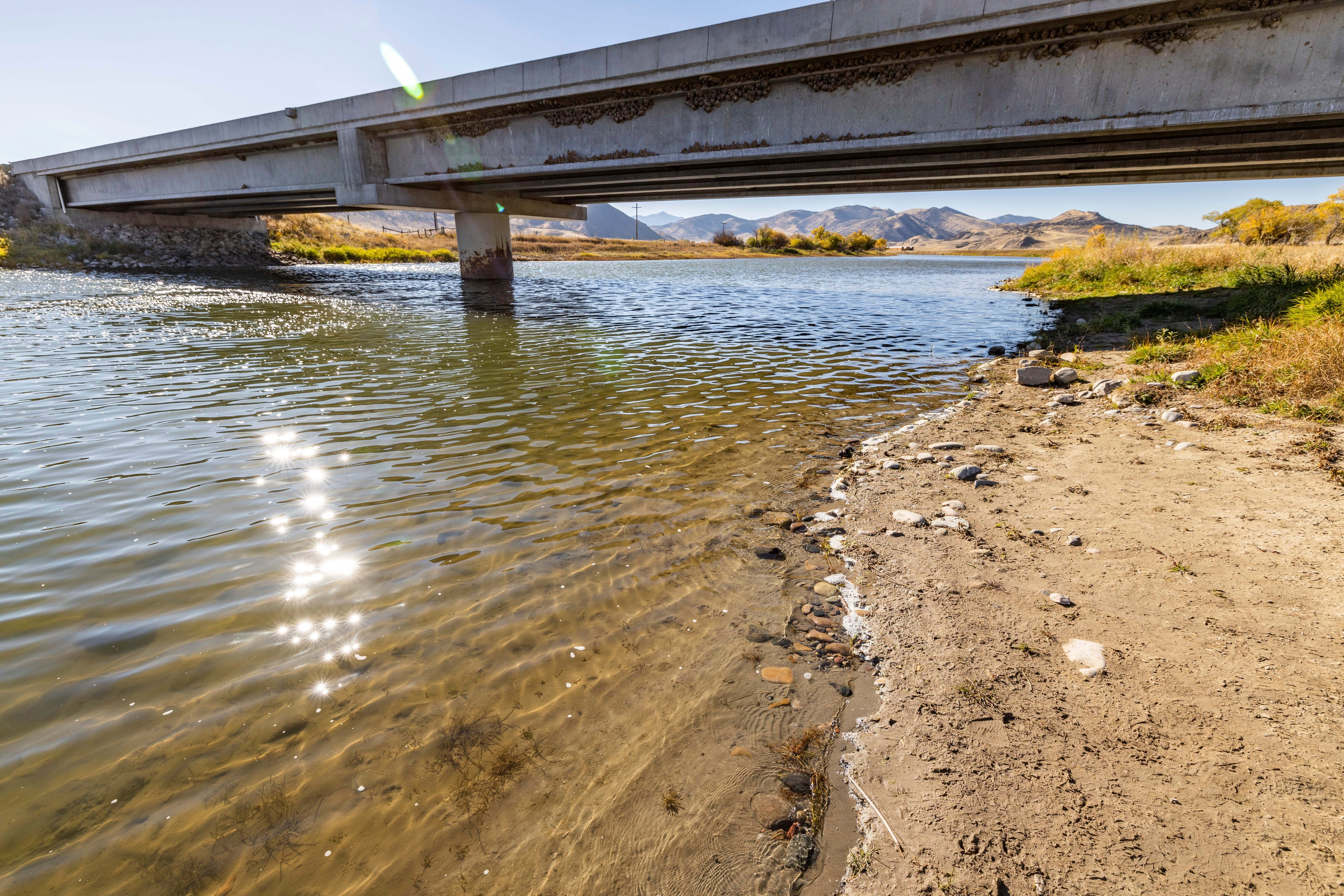 Otter Attack-Three Injured