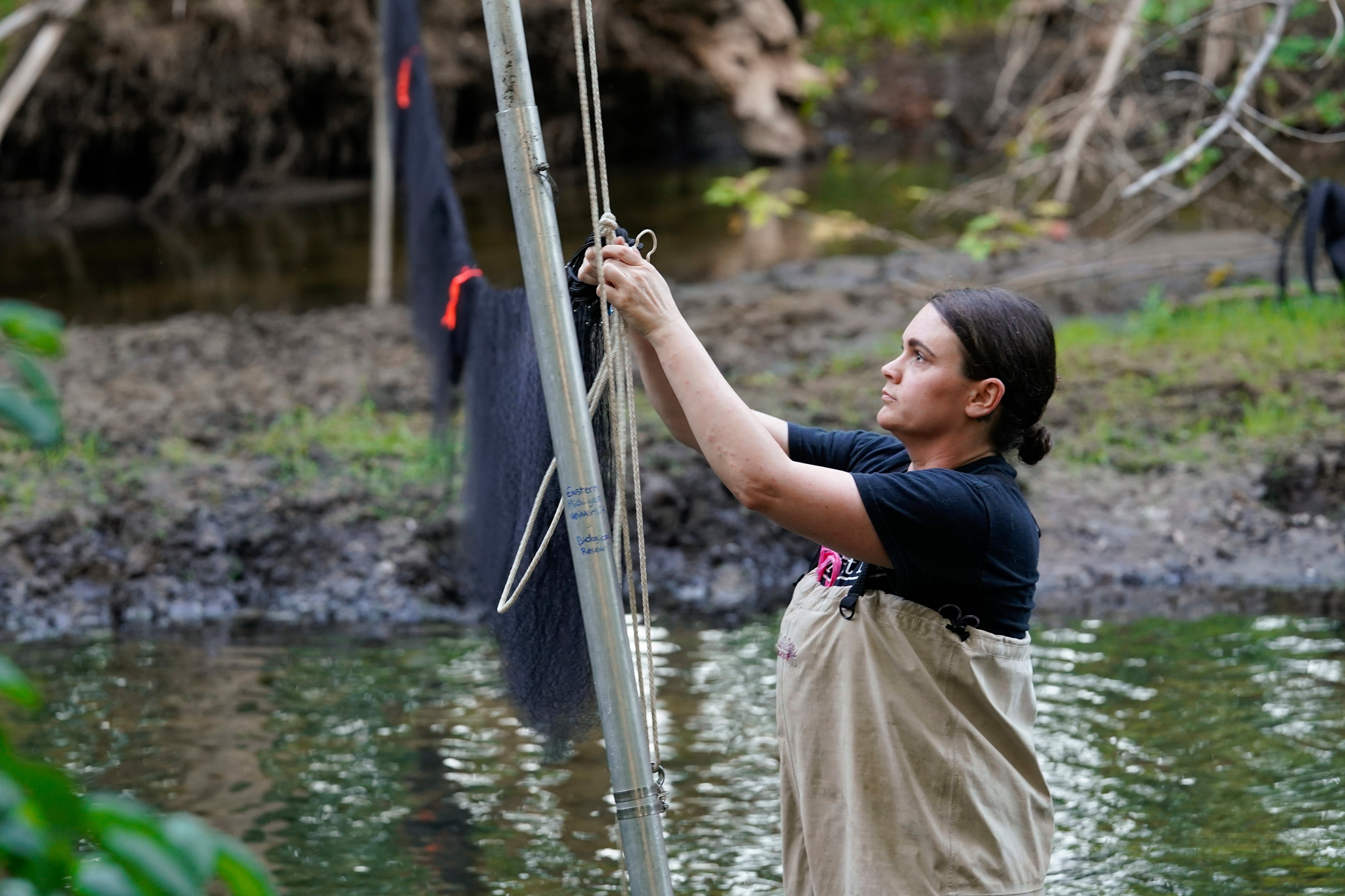 Endangered Species Act at 50