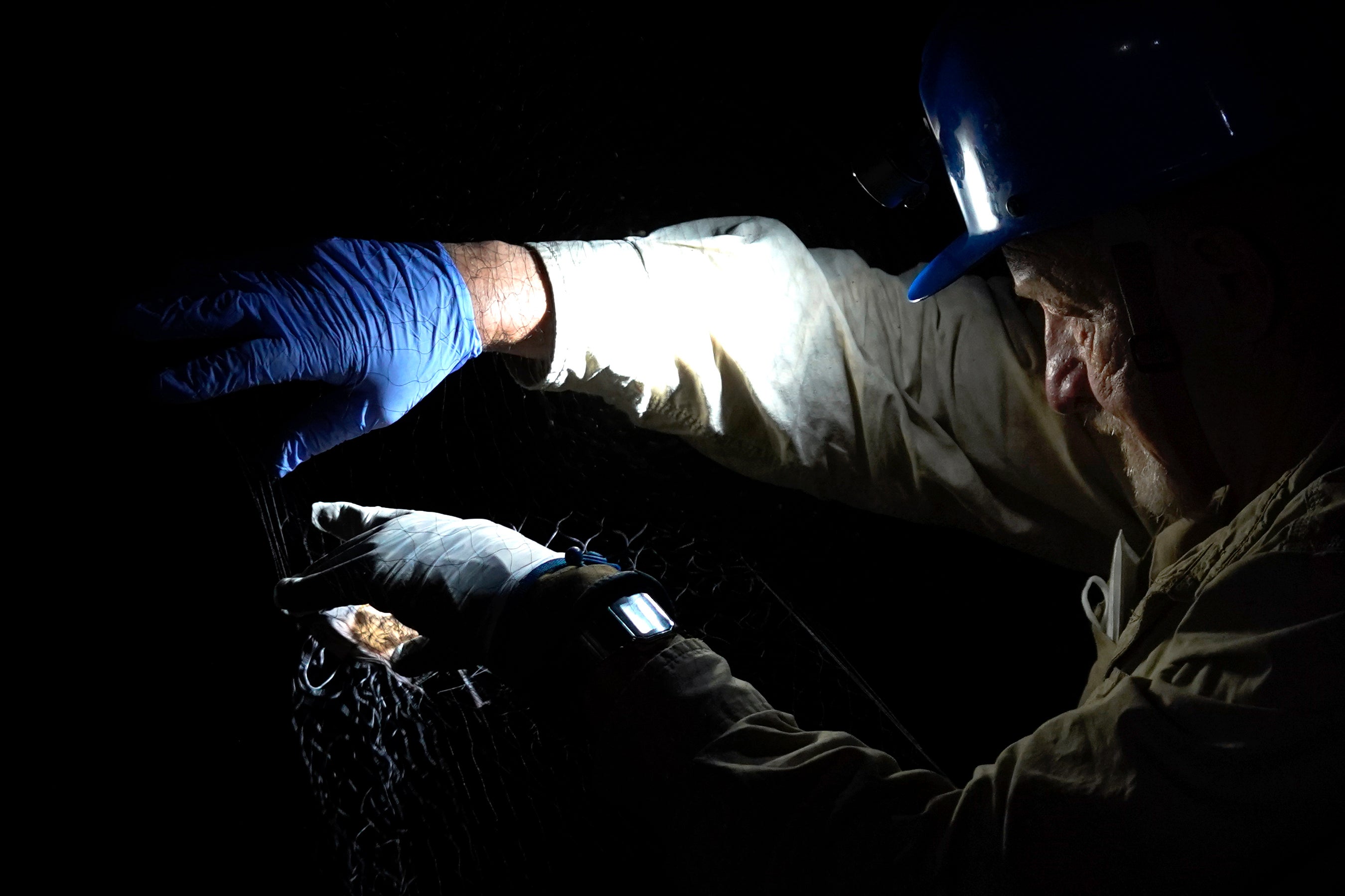 Endangered Species Act at 50