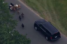 Donald Trump’s motorcade blocked by goats on return to New Jersey golf club