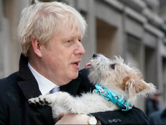 Mr Johnson and his dog Dilyn