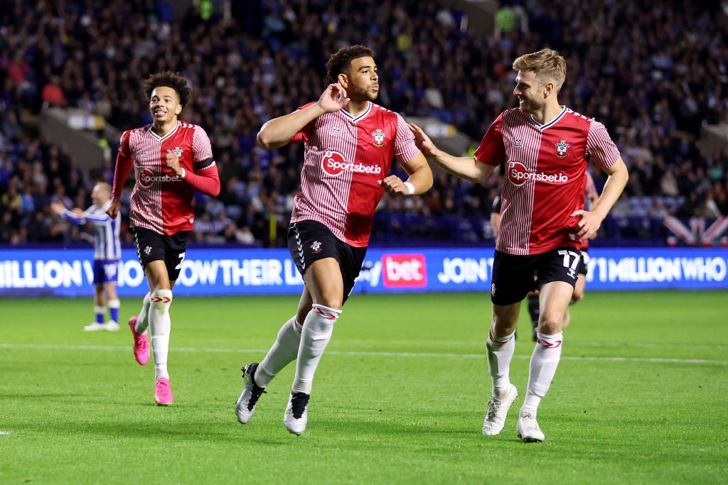 Adams celebrates his late winner