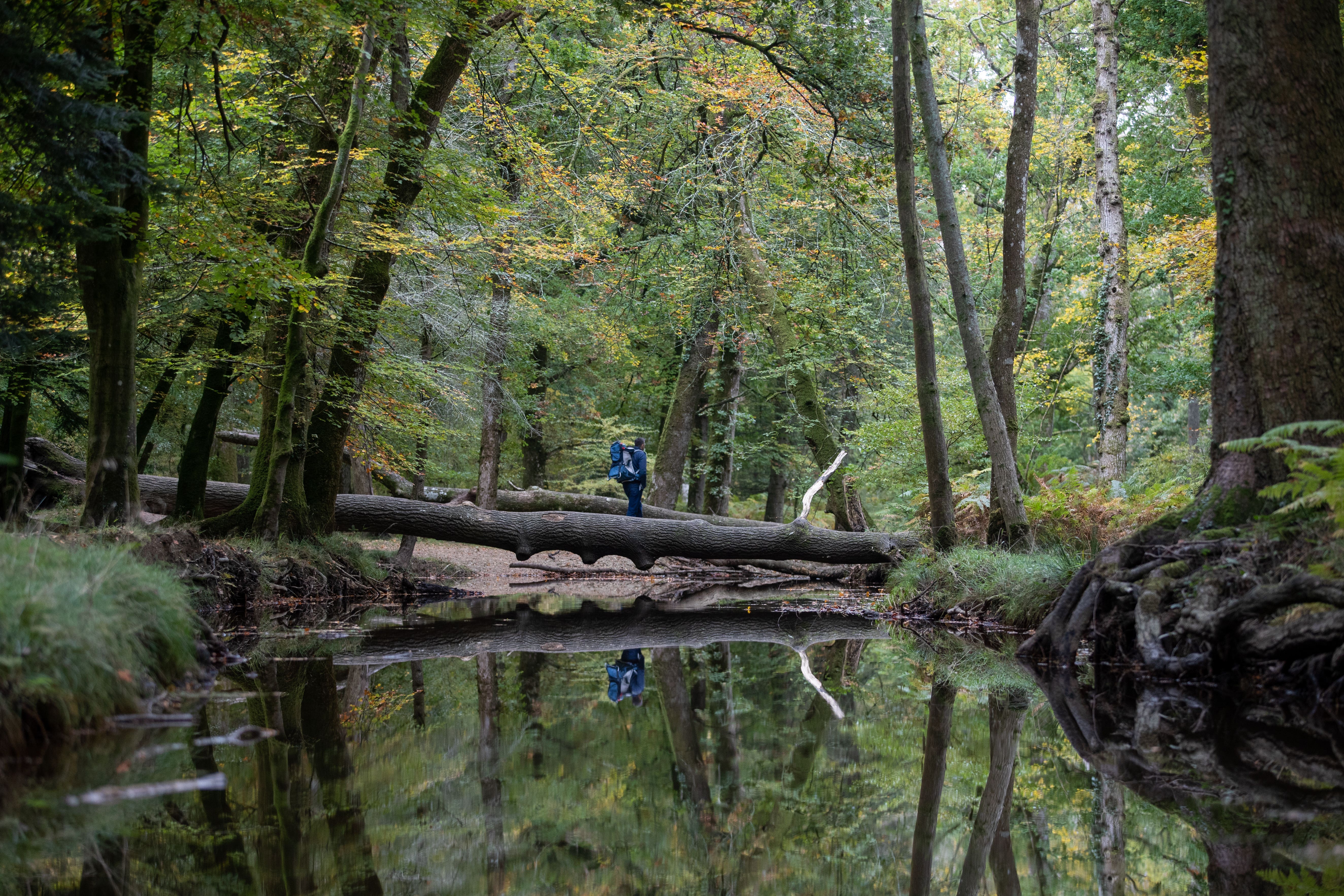 A person walking through woodland (Andrew Matthews/PA)