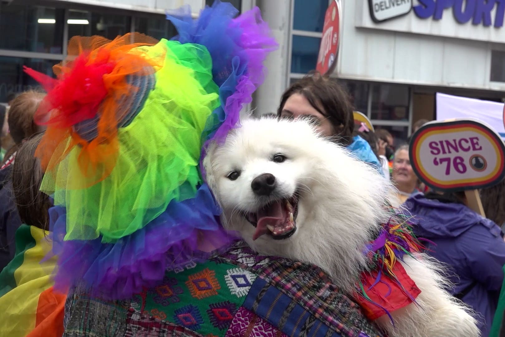 Brighton Pride festival (Anahita Hossein-Pour/PA)