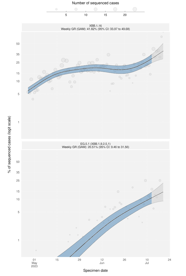 UKHSA data shows the Omicron spin-off Arcturus is the most dominant variant, with Eris, named EG.5.1. coming in second place and accounting for 14.6 per cent of cases