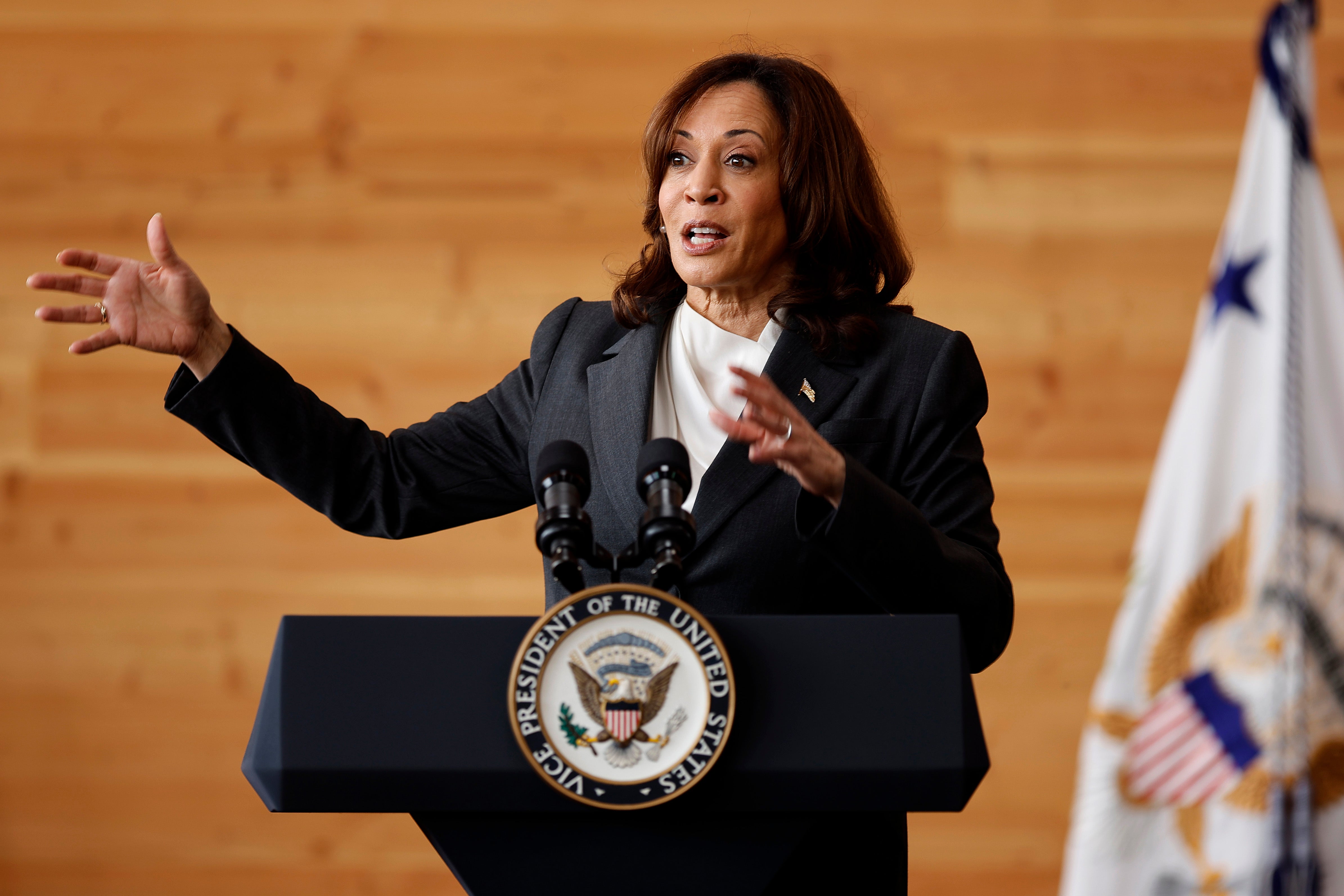Can Kamala Harris’s fight with Ron DeSantis about Black history bolster her image?