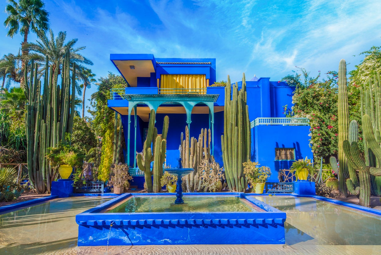 The Jardin Majorelle is the closest main attraction to the Sol Oasis
