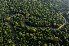 Amazon nations seek common voice on climate change, urge action from industrialized world