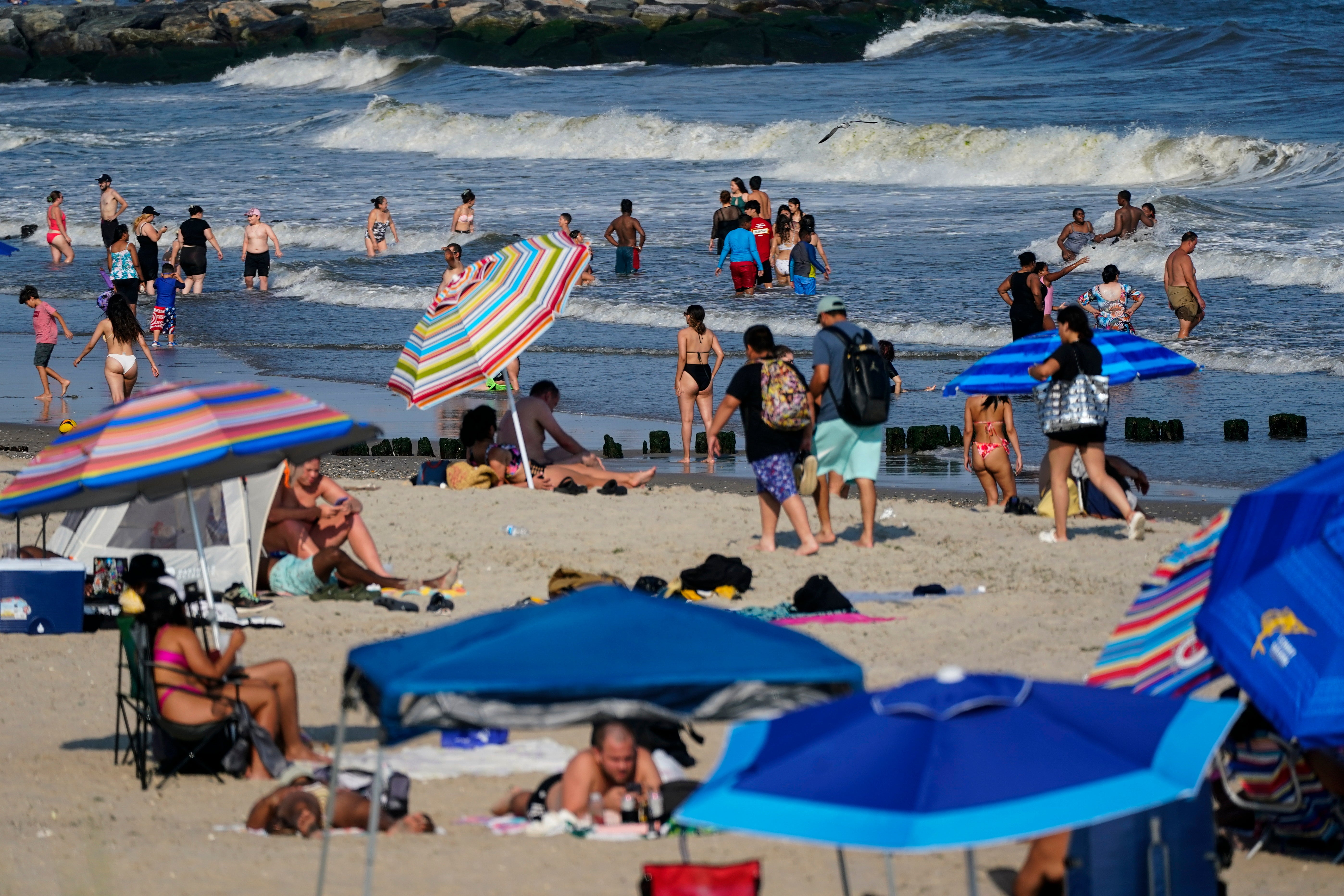 Shark sightings are rare in the waters off New York City, like Rockaway Beach (pictured), but they have been spotted more in recent years moving closer to shore for warmer temperatures