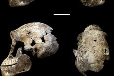 Underworld discovery casts doubt on our understanding of human evolution