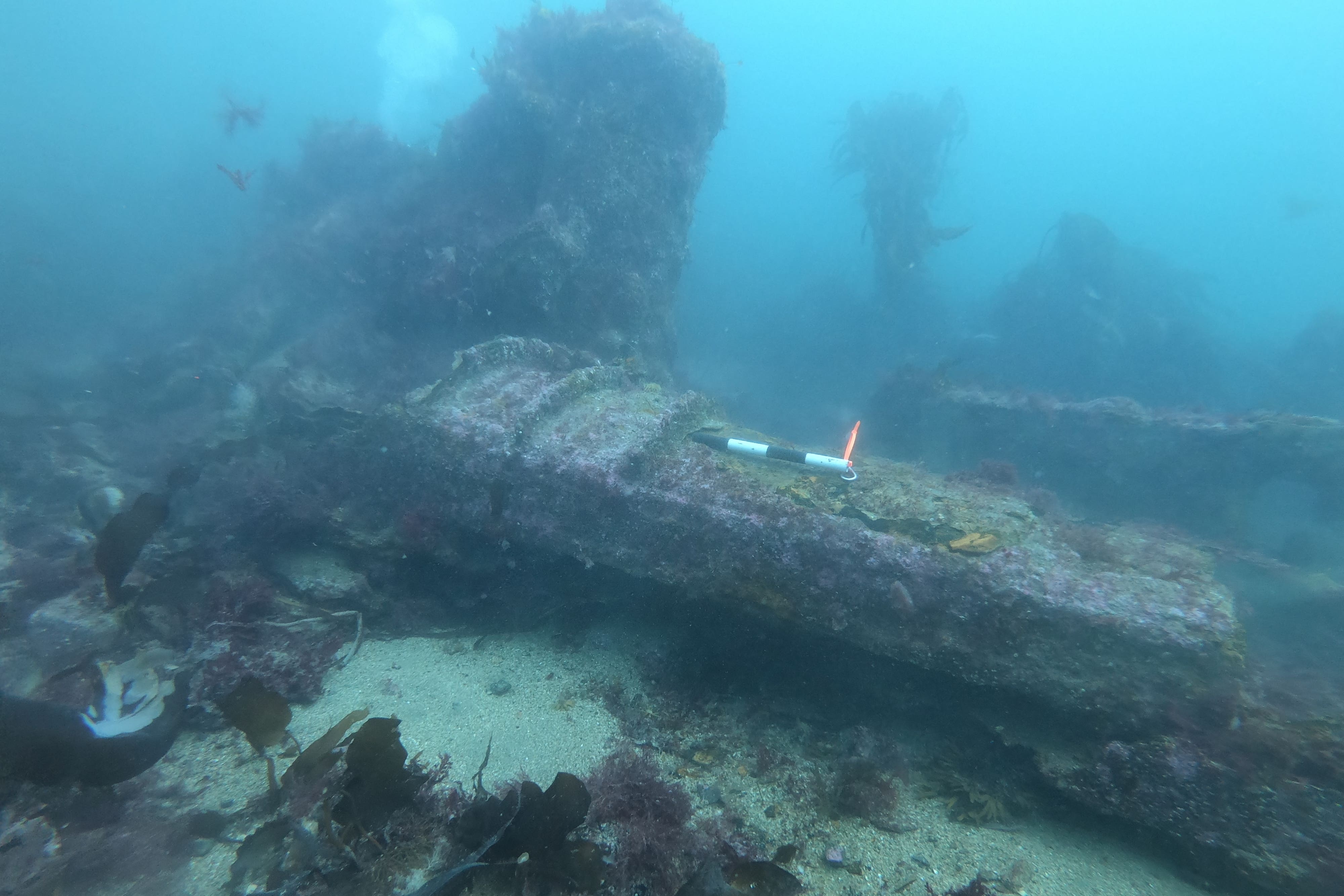 The wreck was discovered in 2020 (Wessex Archaeology/Historic Environment Scotland/PA)